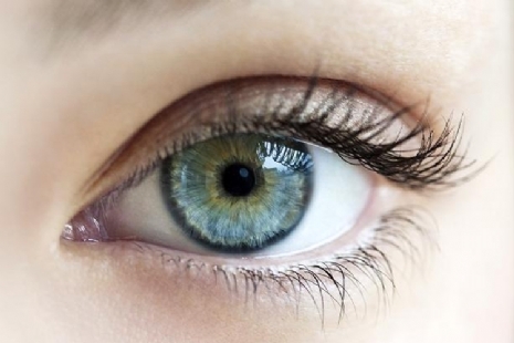 Produkte für das Auge Produkte für das Auge